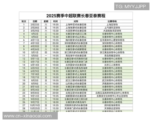 四川队迎战长春亚泰全力争胜力争积分榜上佳绩